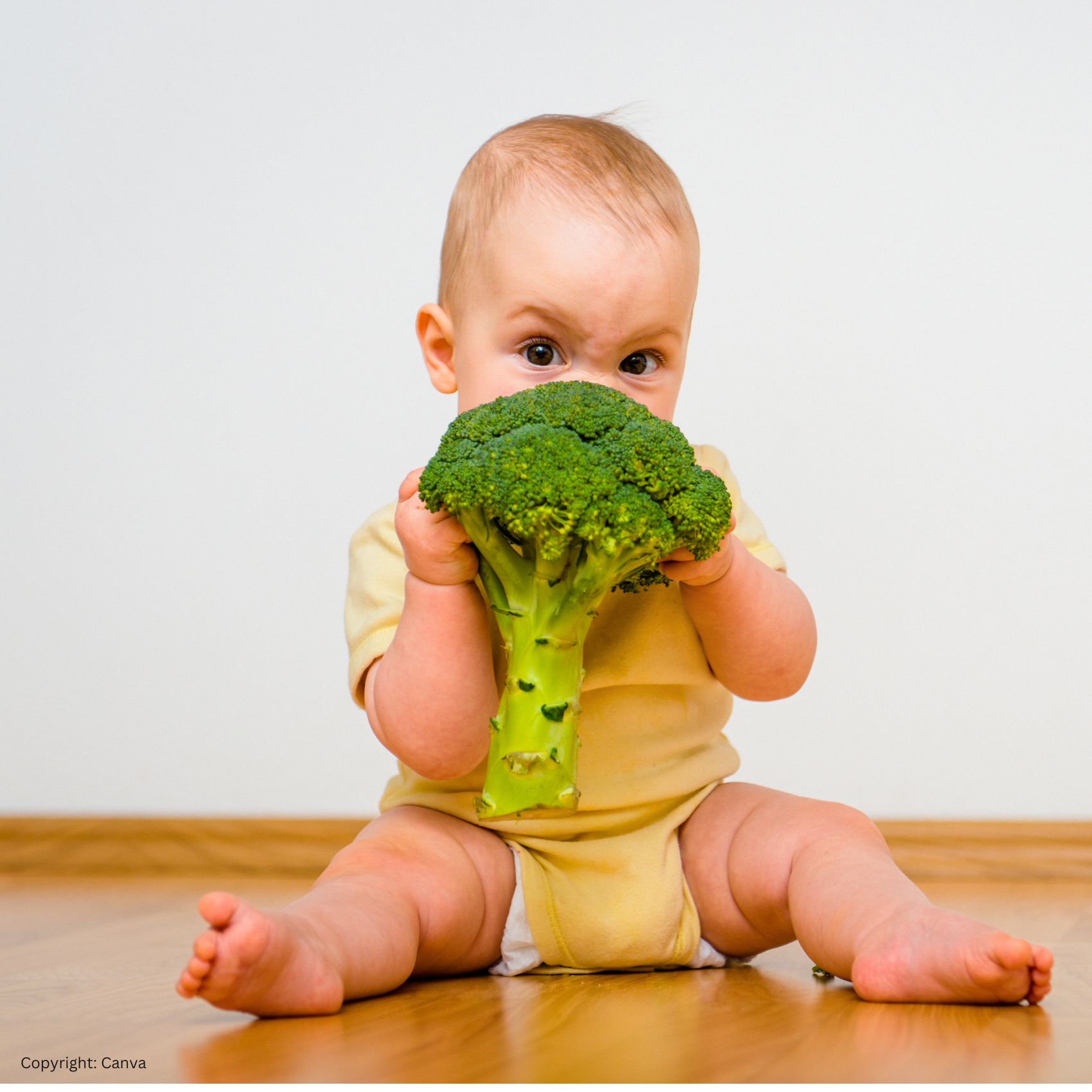 ÖGK Workshop: Gemüsetigeralarm! - Ernährung der ein- bis dreijährigen Kinder